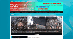 Desktop Screenshot of budidayaternakjangkrik.com